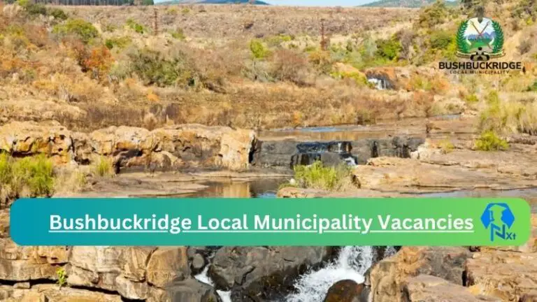 Nxtgovtjobs Bushbuckridge Local Municipality Vacancies 2024 @www.bushbuckridge.gov.za Careers Portal