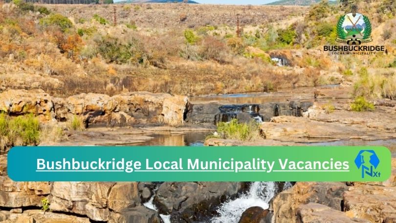 Bushbuckridge Municipality Vacancies 2024 @www.bushbuckridge.gov.za Careers Portal