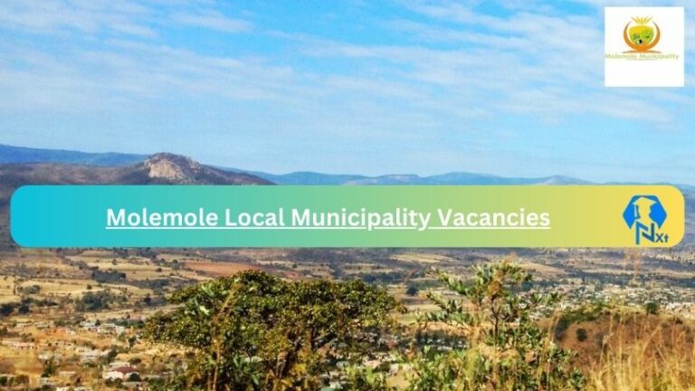 1x Nxtgovtjobs Molemole Local Municipality Vacancies 2024 @www.molemole.gov.za Careers Portal