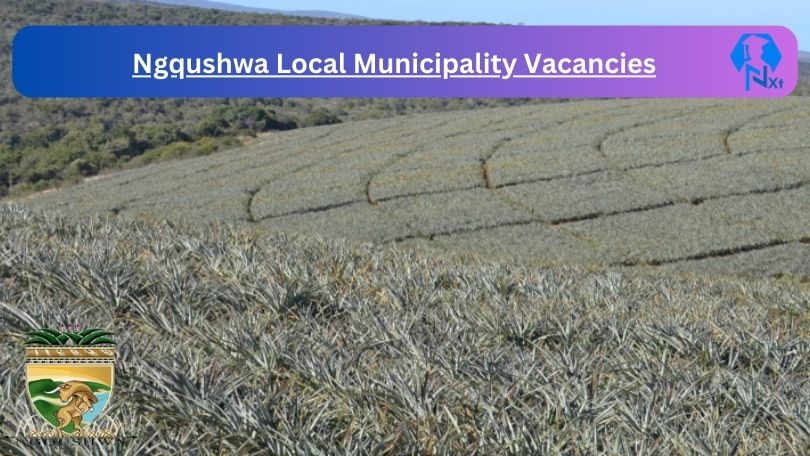 1x New Ngqushwa Local Municipality Vacancies 2024 @ngqushwamun.gov.za Careers Portal